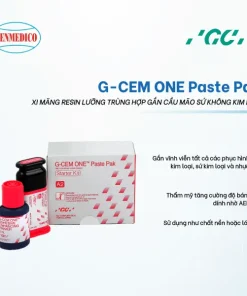 G-Cem One Paste Pak Denmedico