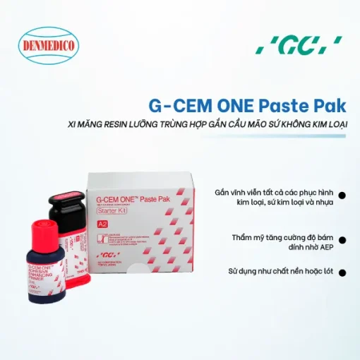 G-Cem One Paste Pak Denmedico