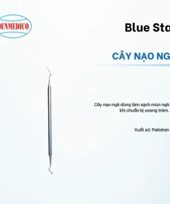 Cây nạo ngà Blue Star