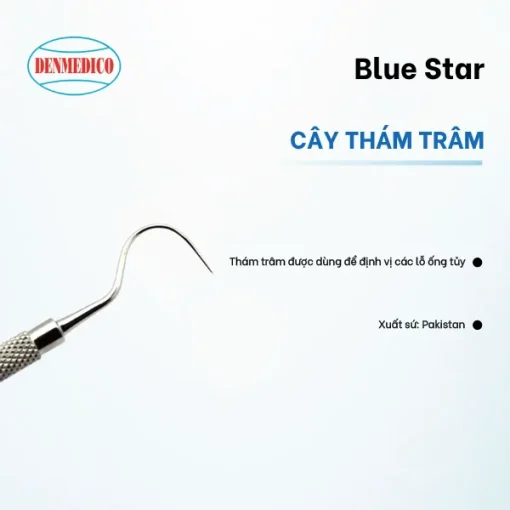 Cây thám trâm Blue Star