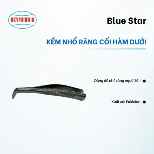 Kềm nhổ răng cối hàm dưới Blue Star